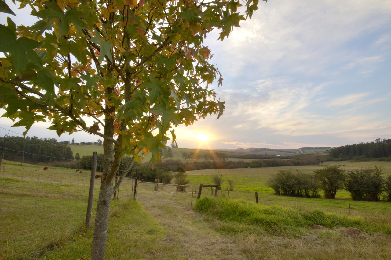 Вилла Jolo Farm Henburg Park Экстерьер фото