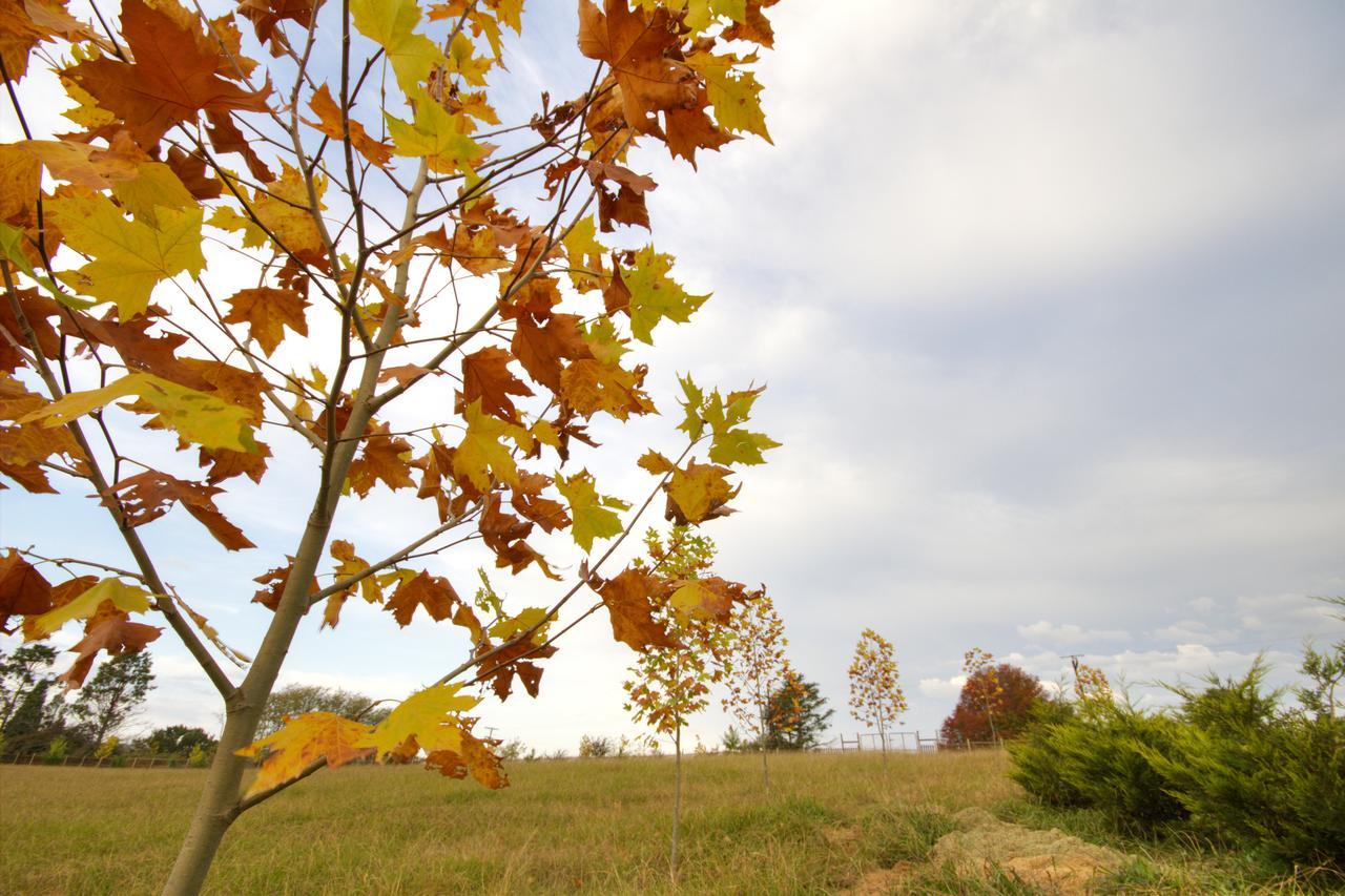 Вилла Jolo Farm Henburg Park Экстерьер фото