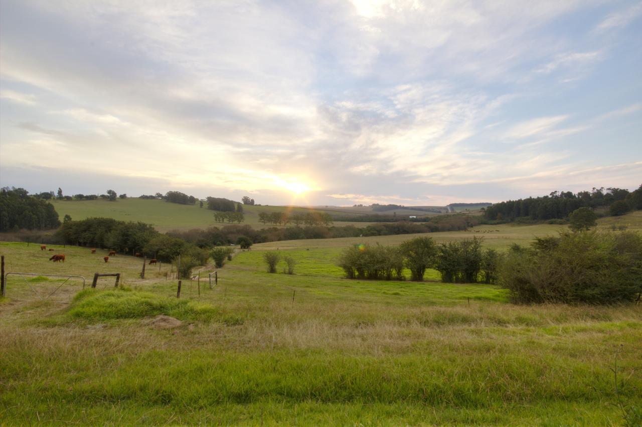 Вилла Jolo Farm Henburg Park Экстерьер фото